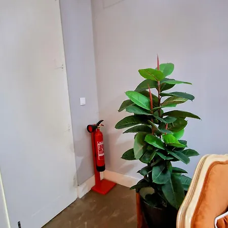 Urban Oasis- Terrace And Space For 4 Apartment