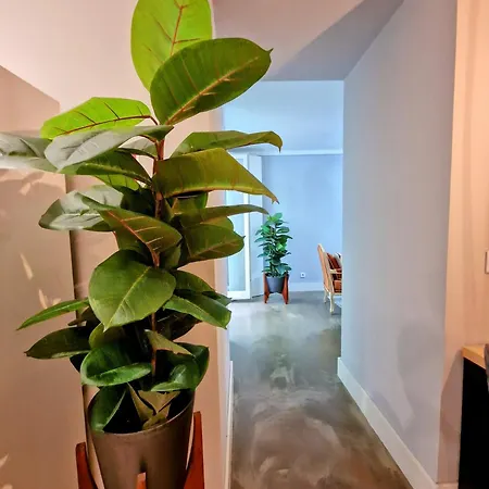 Urban Oasis- Terrace And Space For 4 Διαμέρισμα *