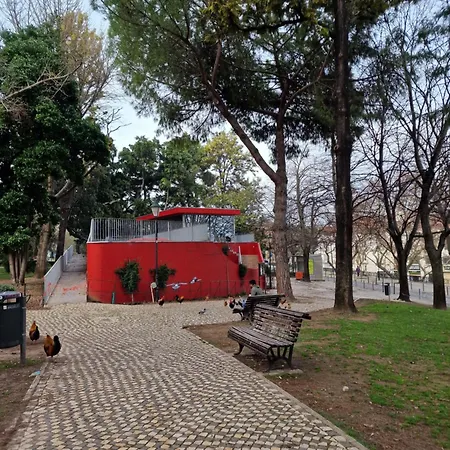 Urban Oasis- Terrace And Space For 4 Lisboa
