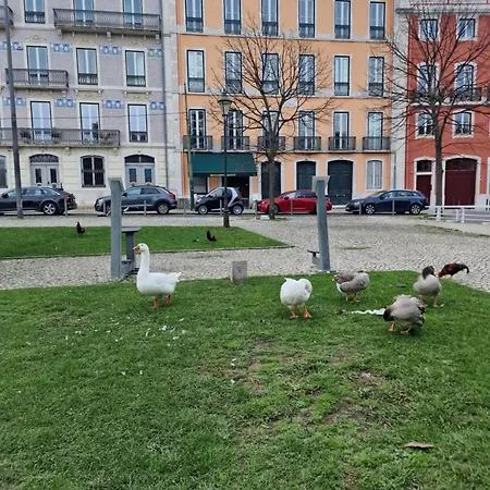 Urban Oasis- Terrace And Space For 4 Διαμέρισμα *